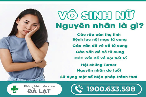 Tìm Hiểu: Nguyên Nhân Khó Thụ Thai 